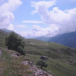 20140725-113651-001