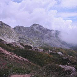 20140725-115512-001
