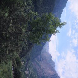 20140725-123742-001