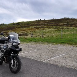 Titine attend sagement de repartir__.