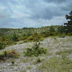 Parc Naturel Régional des Grandes Causses - La Couvertoirade