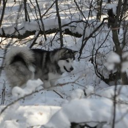 20170119-121311-012-N