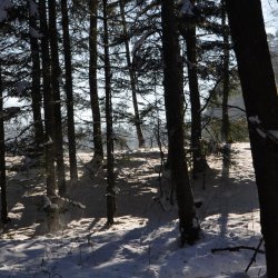 20170119-121435-013-N