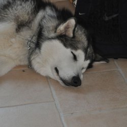 20170119-153633-020-N