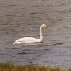20180715-101018-0221-N-Modifier