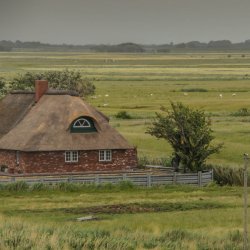 20180623-091854-0038-N