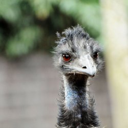 20150403-123825-325-N