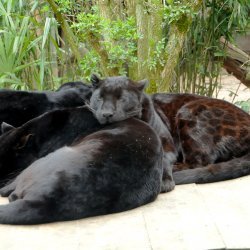 20150403-123853-327-N