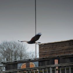 20150403-161853-750-N