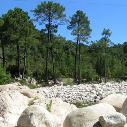 20140711-101848-001-M