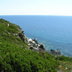 20140716-102638-001-M