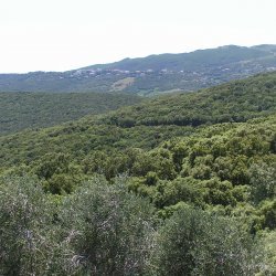 20140716-115742-001-M