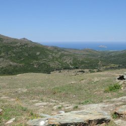 20140716-120540-001-N