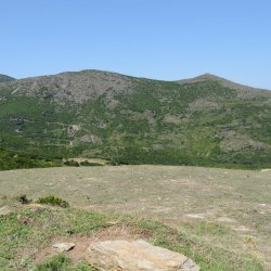 20140716-120558-001-N