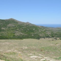 20140716-120600-001-N