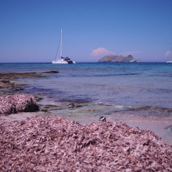 20140716-133638-001-N