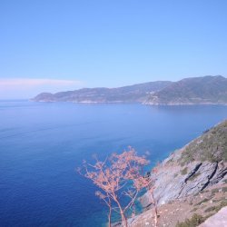 20140716-155906-001-N