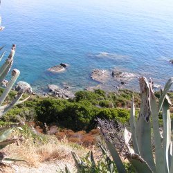 20140716-163537-001-M