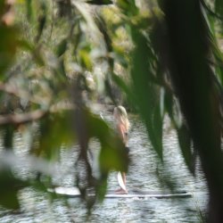 20140719-163138-001-N