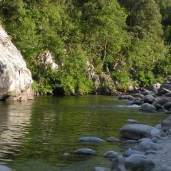 20140719-181720-001-M