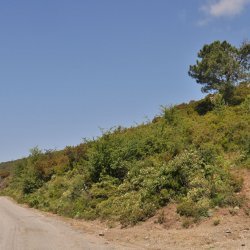 20130711-112752-001-N