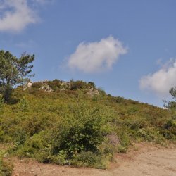 20130711-112806-001-N