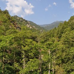 20130714-104148-001-N