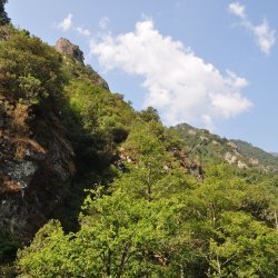 20130714-104220-001-N