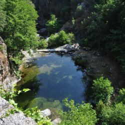 20130714-104310-001-N