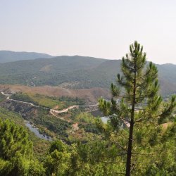 20130714-110046-001-N