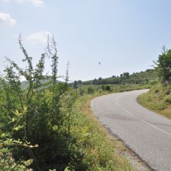 20130714-114910-001-N