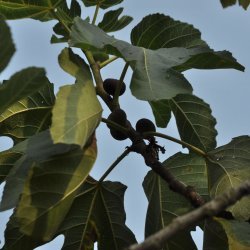 20130714-181938-001-N