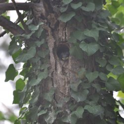 20130714-182202-001-N