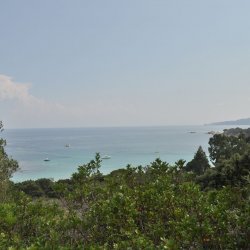 20130719-155818-001-N