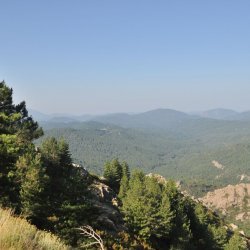 20130721-094242-001-N