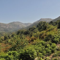 20130721-104910-001-N