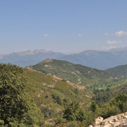 20130721-110316-001-N