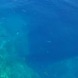 20130722-111100-001-N