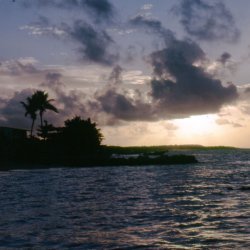 198709 - Guadeloupe - 029