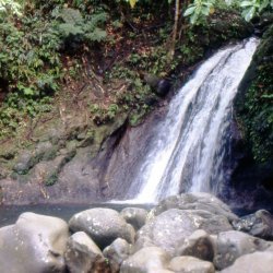 198709 - Guadeloupe - 035