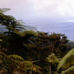 198709 - Guadeloupe - 039