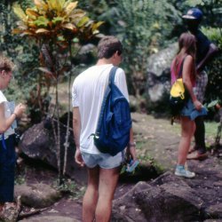 198709 - Guadeloupe - 042