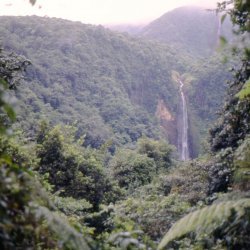 198709 - Guadeloupe - 046