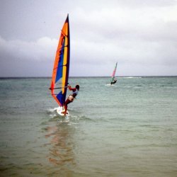 198709 - Guadeloupe - 049