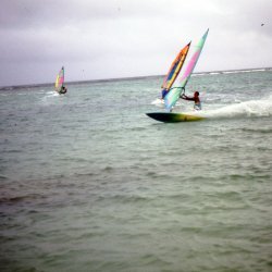198709 - Guadeloupe - 050