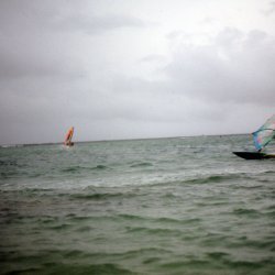 198709 - Guadeloupe - 052