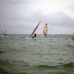 198709 - Guadeloupe - 053