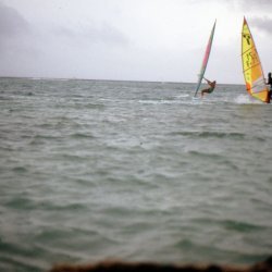 198709 - Guadeloupe - 055