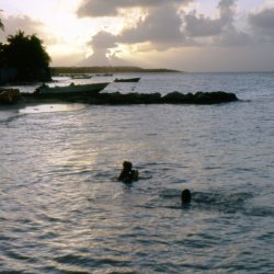 198709 - Guadeloupe - 056