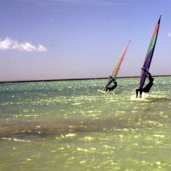 198709 - Guadeloupe - 058